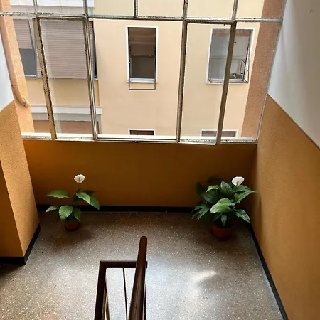 Il Mandillo